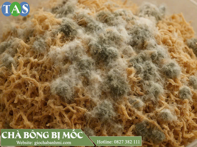 chà bông bị mốc
