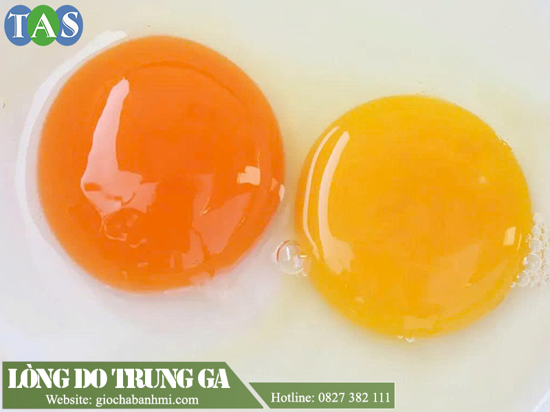 bên phải là lòng đỏ trứng gà ta, màu sẽ dịu hơn
